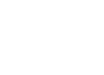 King of Wands crown emblem